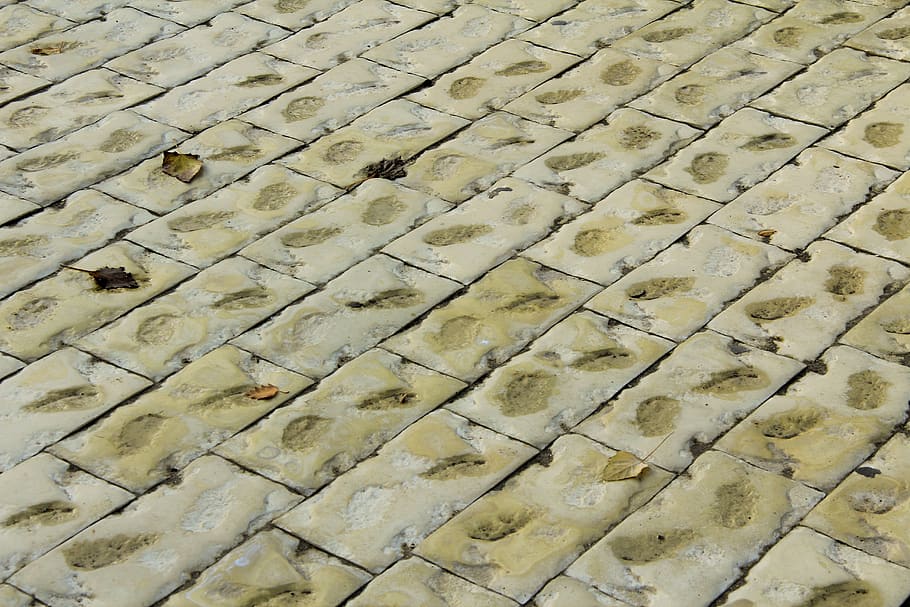 pavement, tile, stone, texture, street, urban, stones, plates HD wallpaper