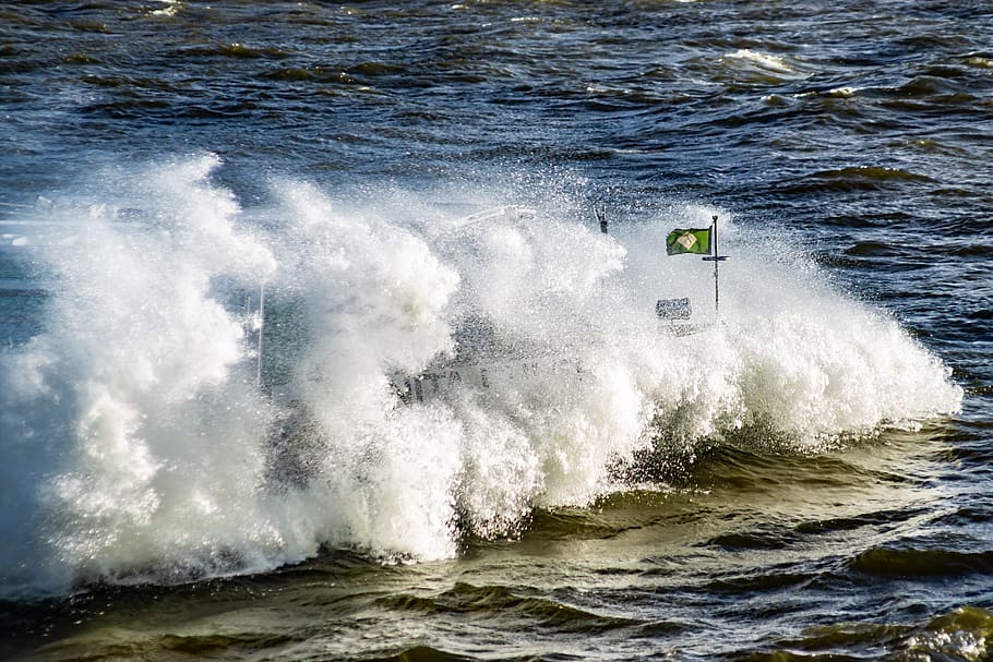 forward, water, elbe, river, wind, wave, nature, force of nature HD wallpaper