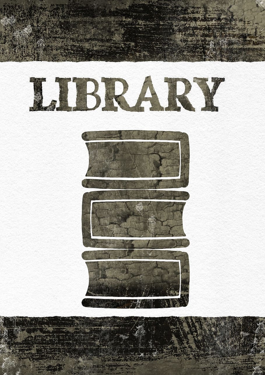 three, books, library, knowledge, graphics, text, western script HD wallpaper