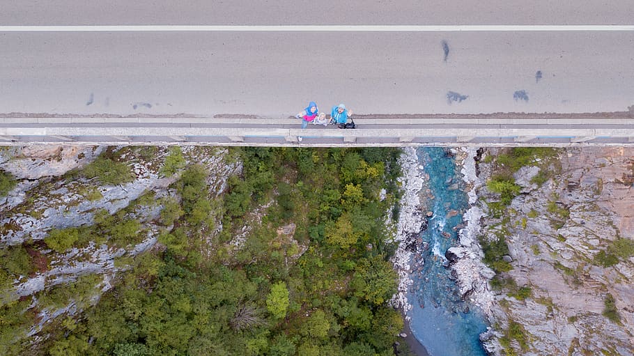 bridge, aerial, trees, river, fky, dji, family, happy, wag HD wallpaper