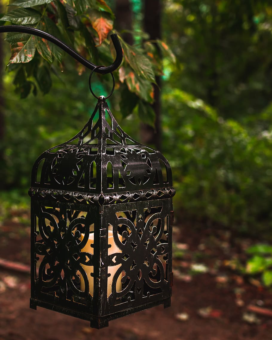 lantern, lamp, detail, texture, fall, nature, secluded, bokeh HD wallpaper