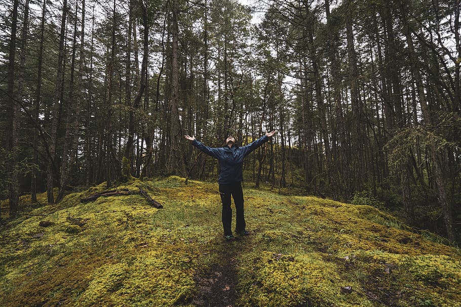 man wearing blue jacket, human arm, tree, plant, land, one person HD wallpaper