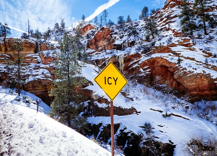 icy signage, tree, plant, abies, fir, symbol, road sign, mountain HD wallpaper