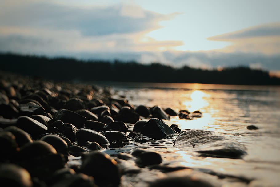 sunlight, sunlit, sunset, focus, perspective, landscape, nautre HD wallpaper