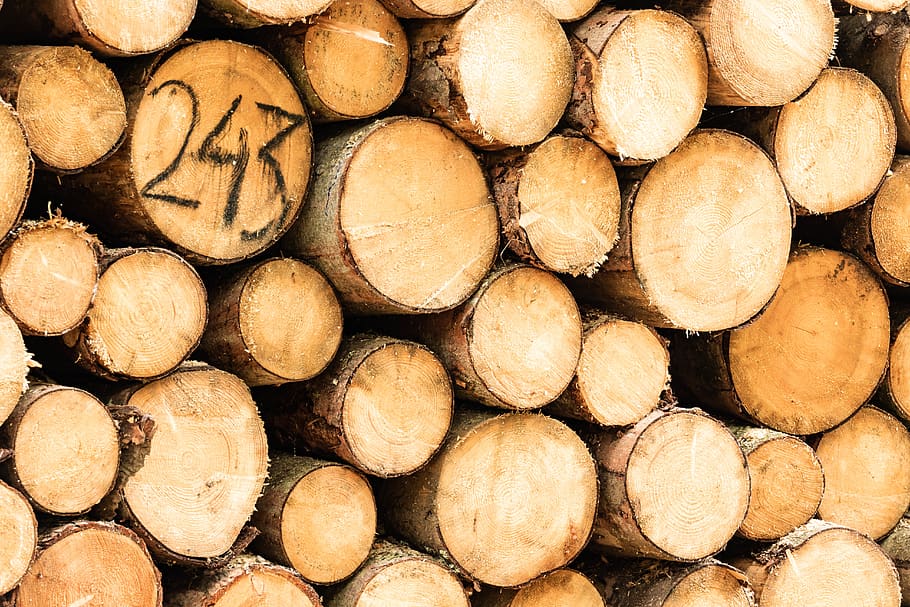 tree logs, wood, lumber, number, carve, sawn, outdoors, felled HD wallpaper