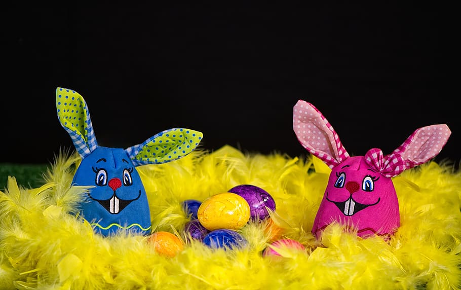 easter bunny, easter eggs, greeting card, feather, festival HD wallpaper