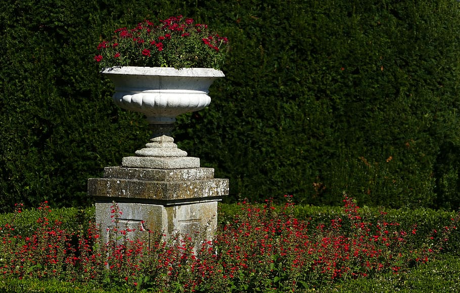 nature, garden, socket, flowers, hedge, castle garden wildegg HD wallpaper