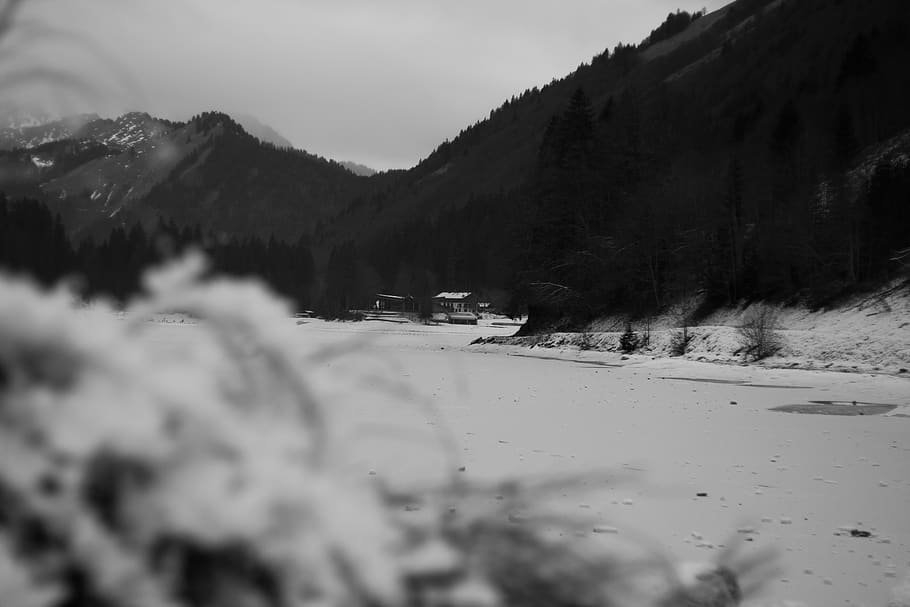 trees, zing, mountain, black, white, lake, forest, snow, cold temperature HD wallpaper