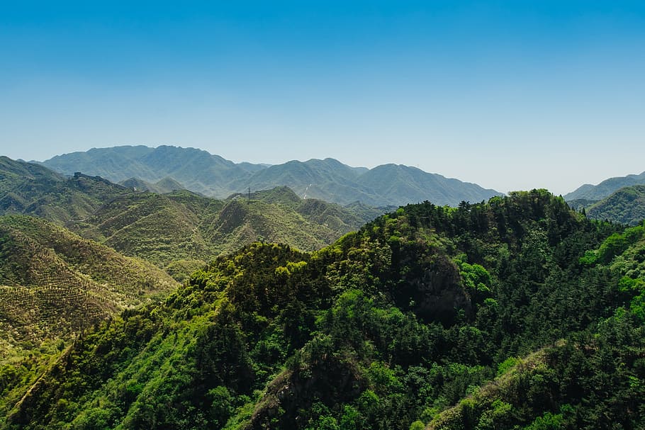 landscape, tree, nature, forest, wilderness, mountain, hill HD wallpaper