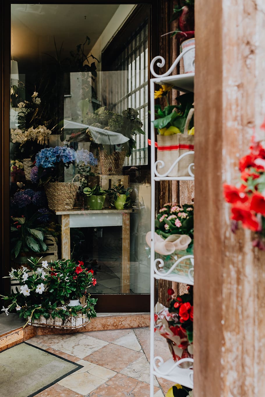 Flower shop in Castelfranco Veneto, Italy, flowers, blooming, HD wallpaper