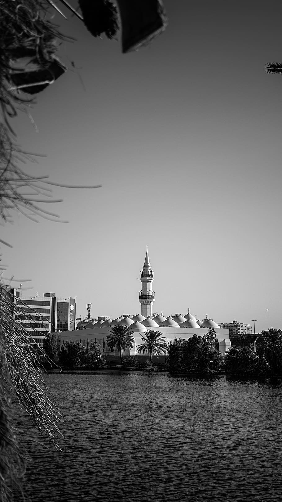 tower, spire, building, steeple, architecture, dome, plant HD wallpaper