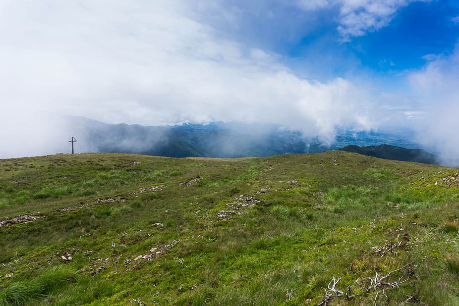Grassland, daylight, environment, fog, foggy, hill, landscape HD wallpaper