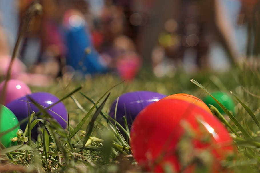 easter, egg, painted, spring, colored, eggs, nature, holiday HD wallpaper