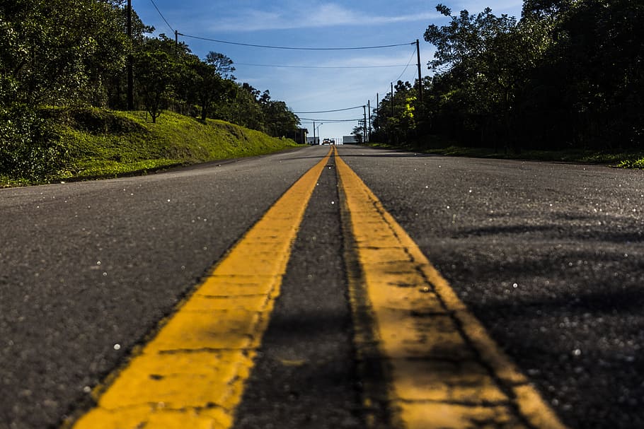 Road in Between Green Tree Under White Clouds and Blue Sky, asphalt HD wallpaper