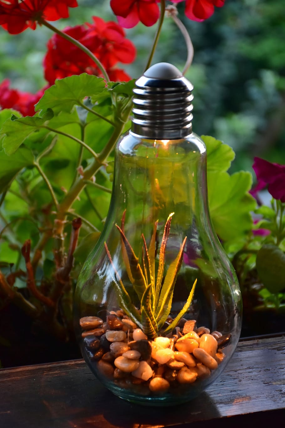 light bulb, lamp, decoration, decorate, evening, mood, bulbs HD wallpaper