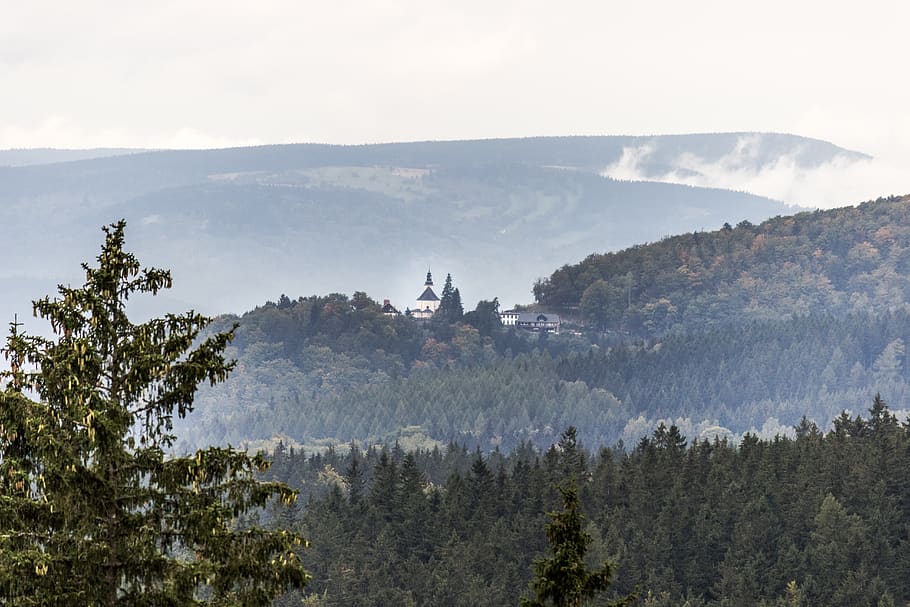 church, trees, forest, mountains, hill, fog, mist, clouds, plant HD wallpaper