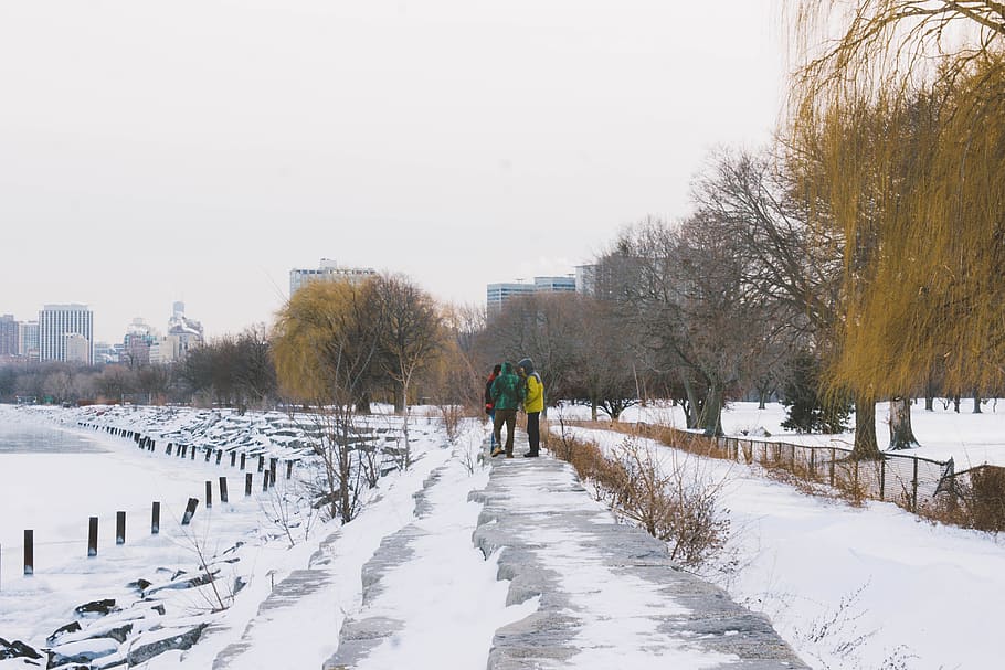 cold temperature, snow, winter, tree, real people, nature, day HD wallpaper