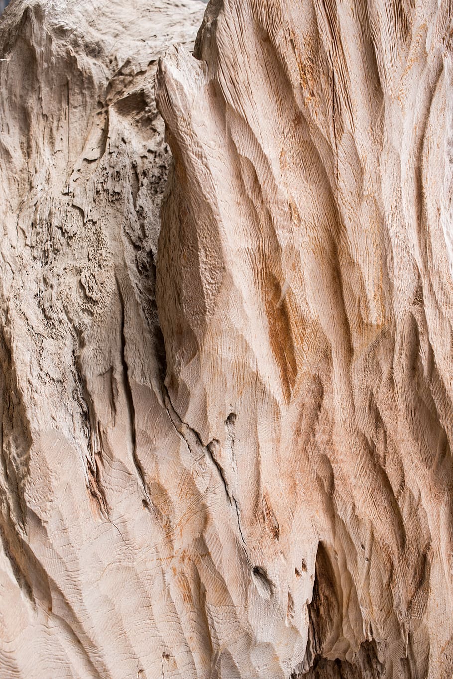 italy, texture, old, tree, beautiful, wood, natural, minimal HD wallpaper