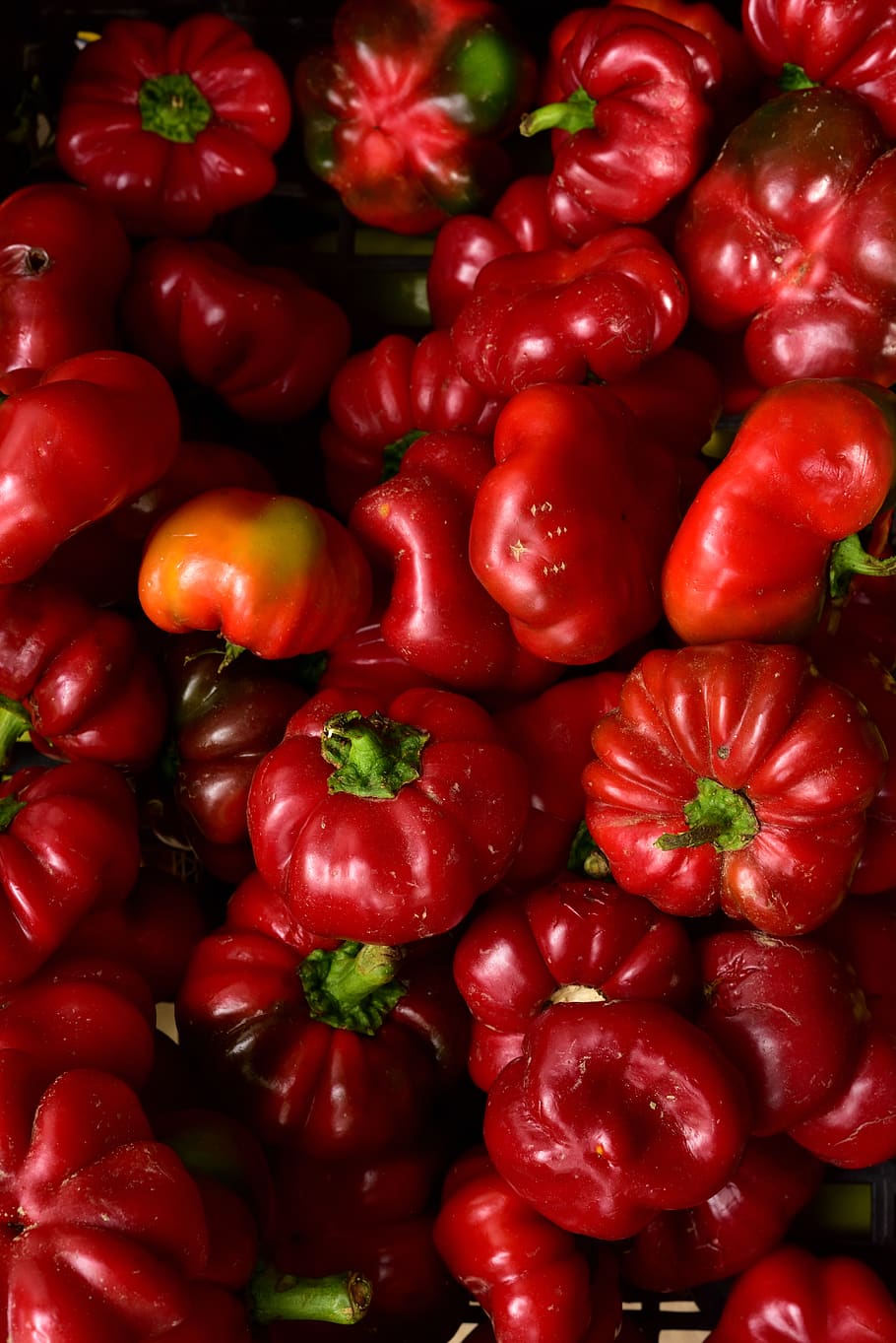 bulgaria, sofia, vegetables, pepper, red, close-up, food and drink HD wallpaper
