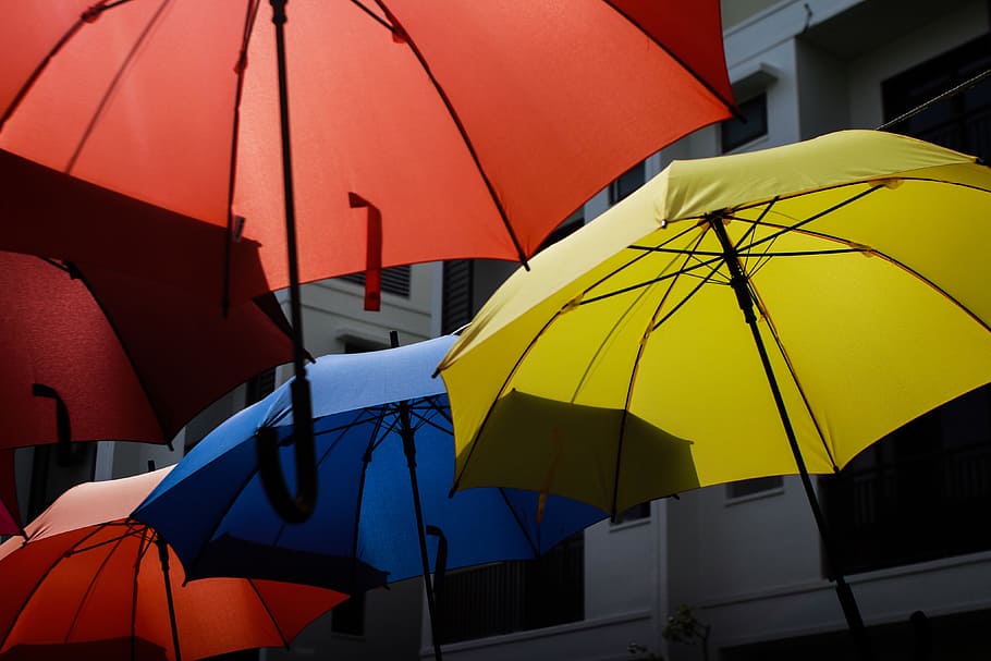 Color Umbrellas, various, rain, protection, security, no people HD wallpaper