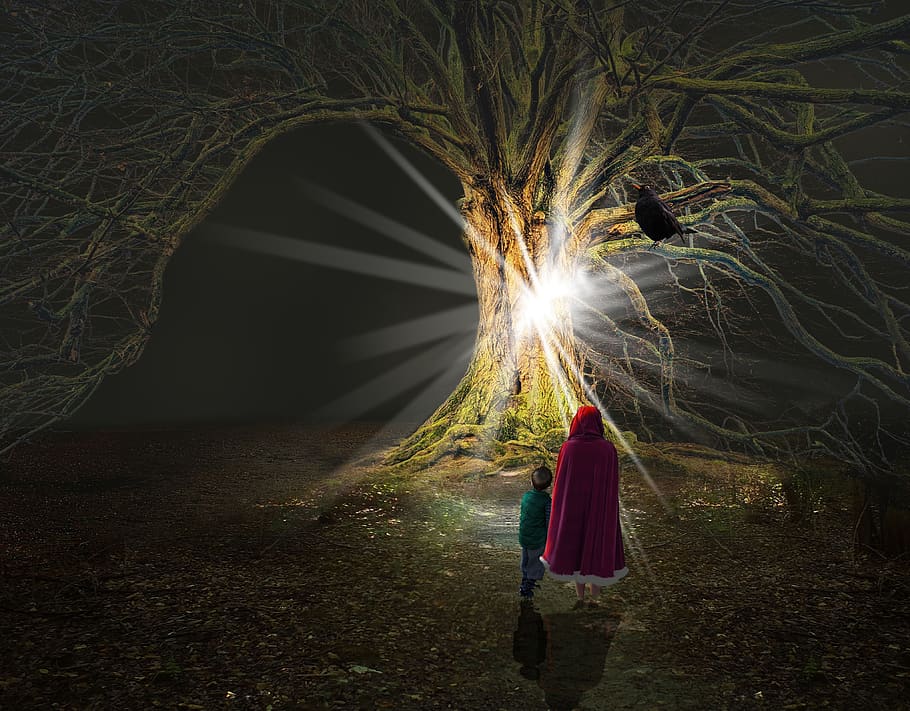 light, outdoors, tree, magic, real people, night, one person HD wallpaper