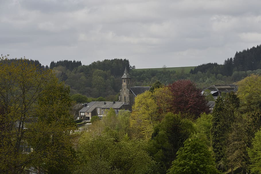 steeple, architecture, building, tower, spire, plant, abies HD wallpaper