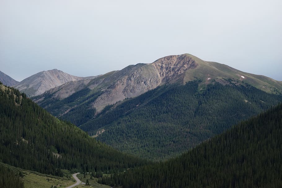 landscape, stone, peak, forest, mountain, colorado, scenics - nature HD wallpaper