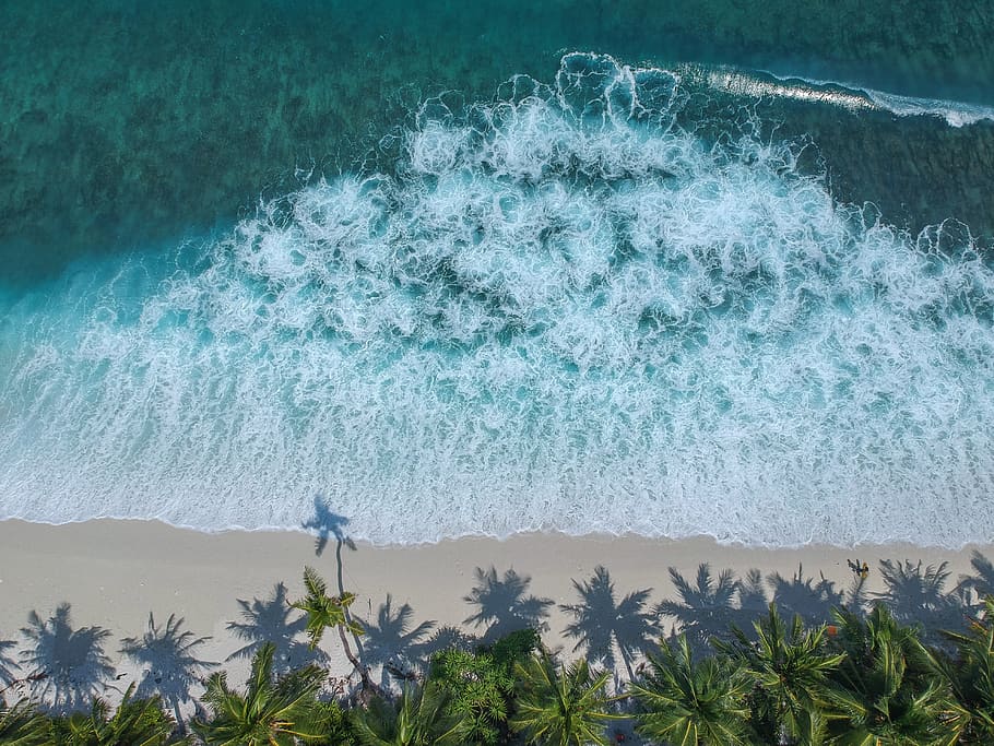 aerial beach seashore waves, plant, motion, no people, beauty in nature HD wallpaper