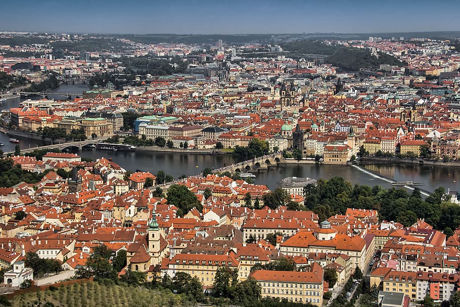 prague, czech, hradcany, view, castle, cathedral, vltava, bridge HD wallpaper