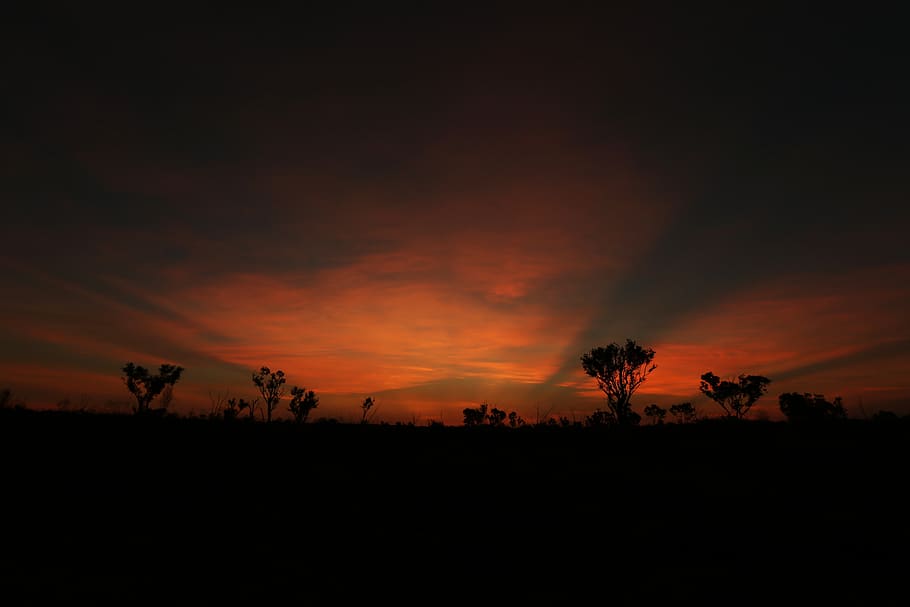 sunset, desert, outback, sunrise, golden rays, wallpaper, adventure HD wallpaper