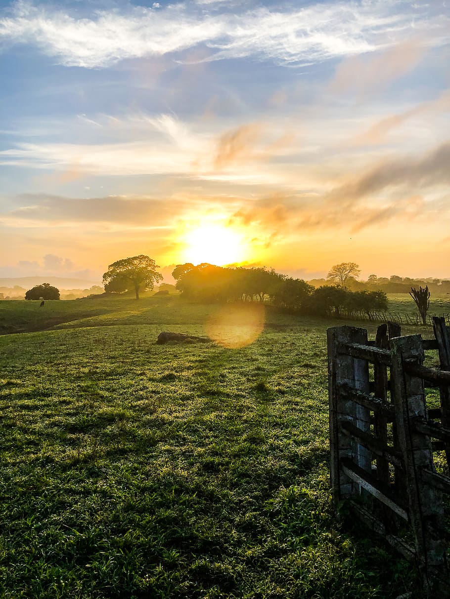 Photo of Grassland, beautiful, clouds, dawn, environment, grass field HD wallpaper