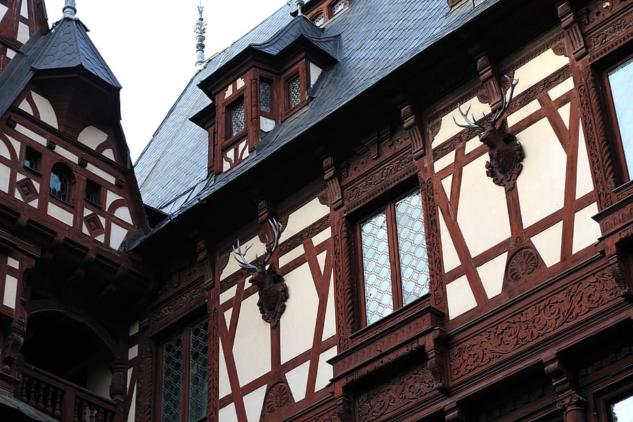 architecture, building, window, roof, deer, castle, peles, castle peles HD wallpaper