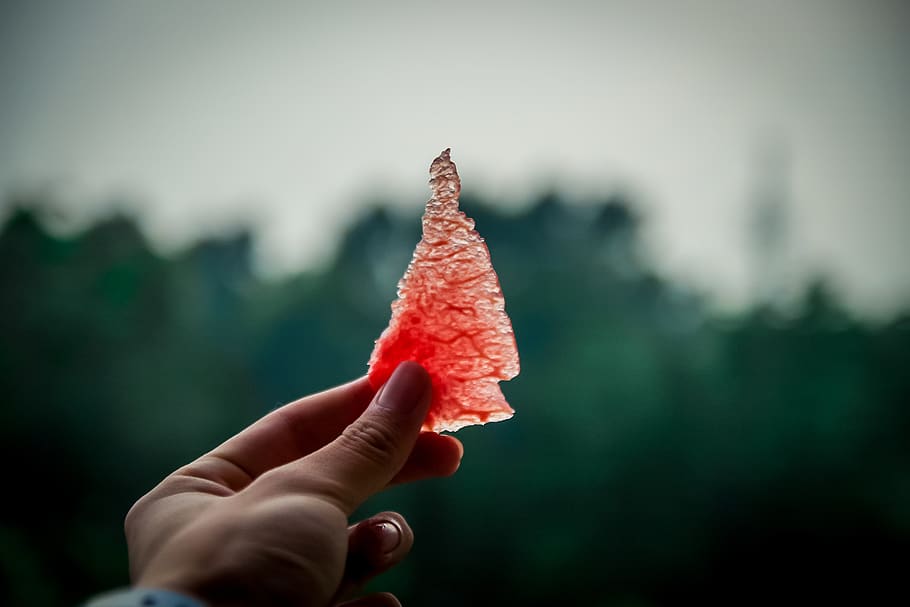 watermelon, summer, human hand, human body part, one person HD wallpaper
