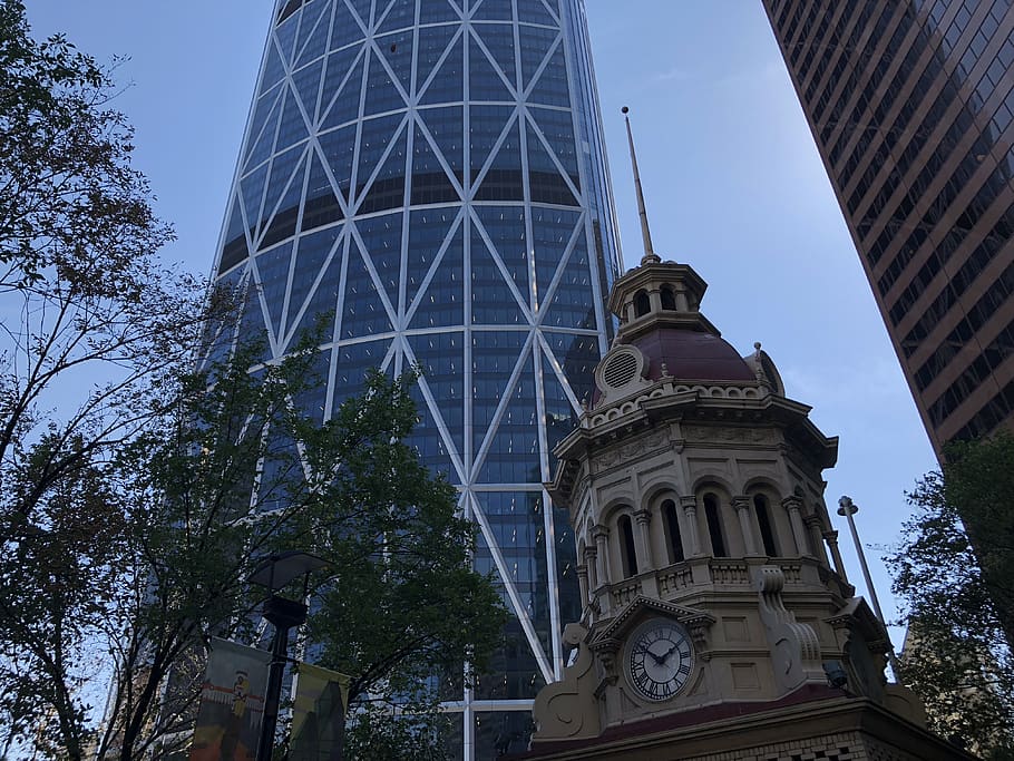 canada, calgary, built structure, architecture, building exterior HD wallpaper