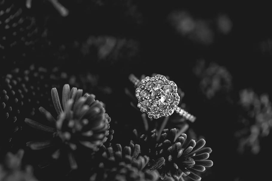 tree, trees, engagement, ring, diamond, floral, wedding, bridal HD wallpaper