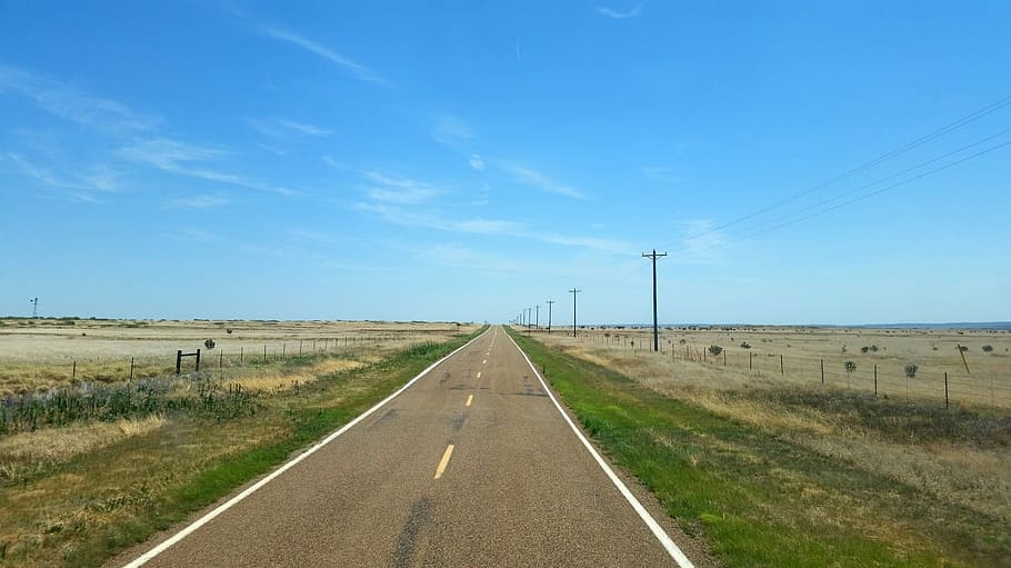 gray concrete road, way, highway, tarmac, asphalt, plant, grass HD wallpaper