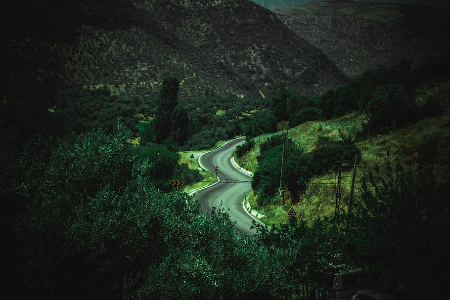 road, turkey, focus, mood, sirince, mountain, tree, trees, mountainsroad HD wallpaper