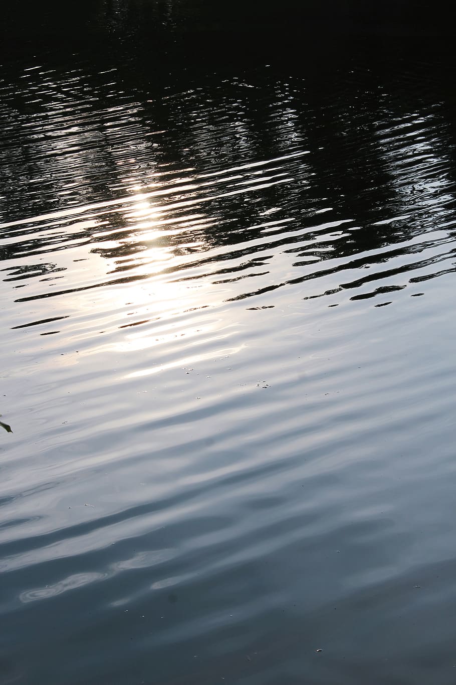 lake, pond, water, reflection, sundown, evening, twilight, ropples HD wallpaper