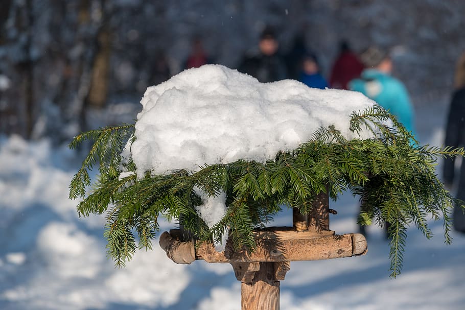 snow, bird feeder, aviary, winter, cold, snowy, white, wintry HD wallpaper