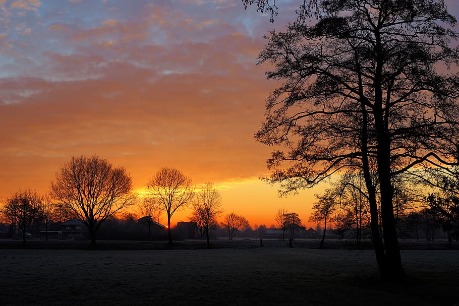 sunrise, winter, cold, landscape, nature, sky, trees, clouds HD wallpaper