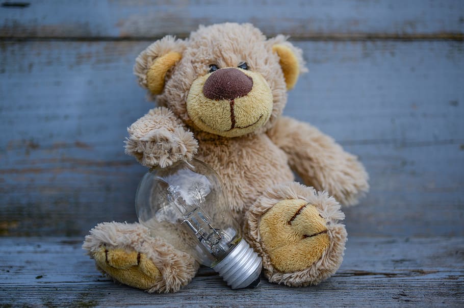 idea, lamp, holding, bear, stuffed, teddy, toy, animal, soft HD wallpaper