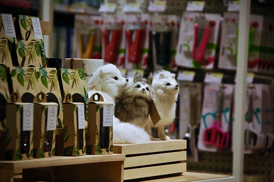 thailand, centralworld, animal, mammal, animal themes, vertebrate HD wallpaper