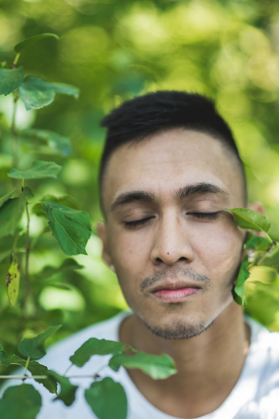 canada, edmonton, men, model, leaves, portrait, trees, forest HD wallpaper