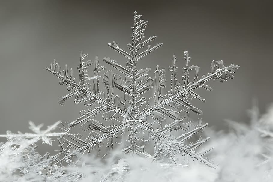 snowflakes formation, ice, outdoors, nature, mongolia, ulaanbaatar HD wallpaper