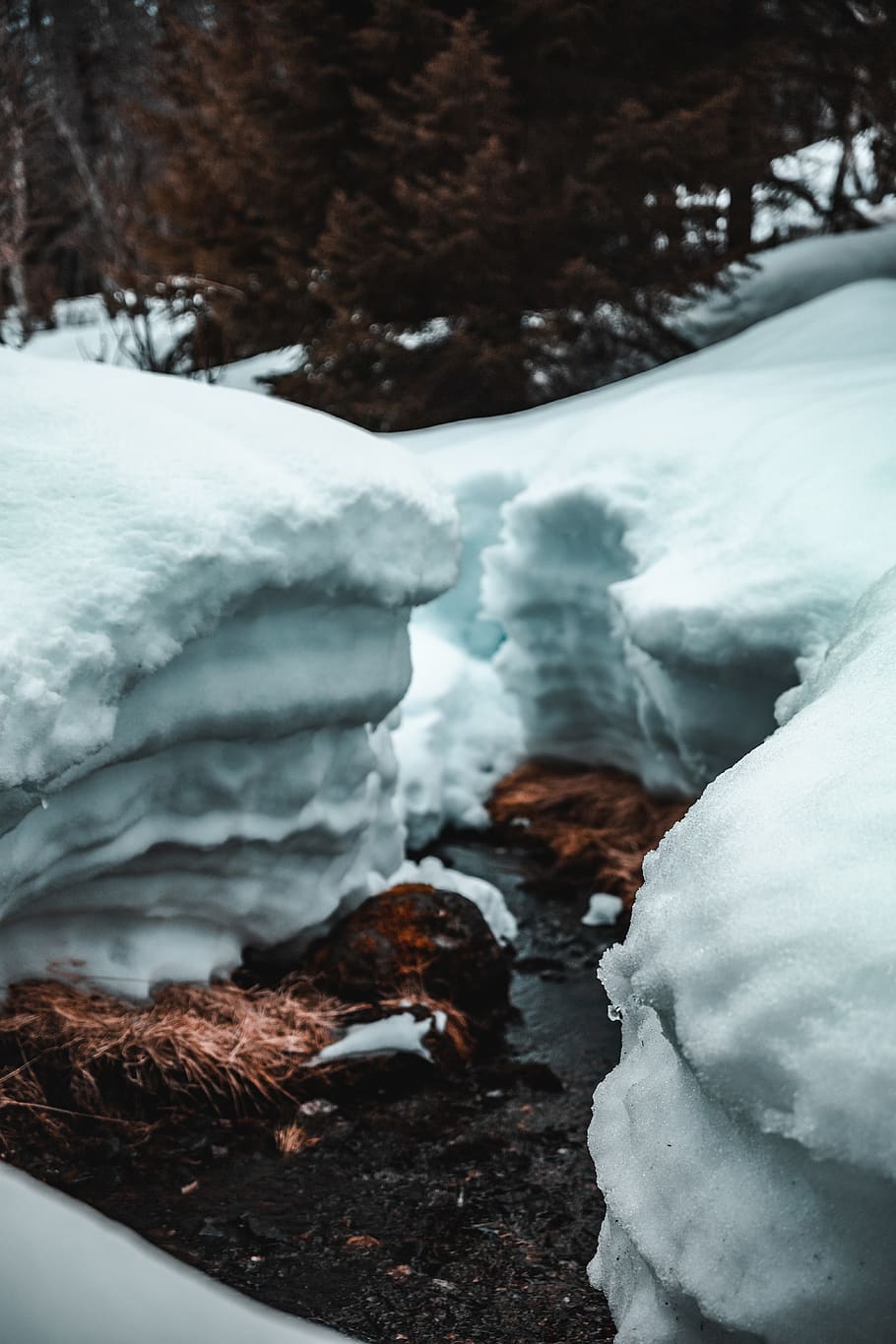 Field of Snow, cold, daylight, daytime, environment, zing, frost HD wallpaper