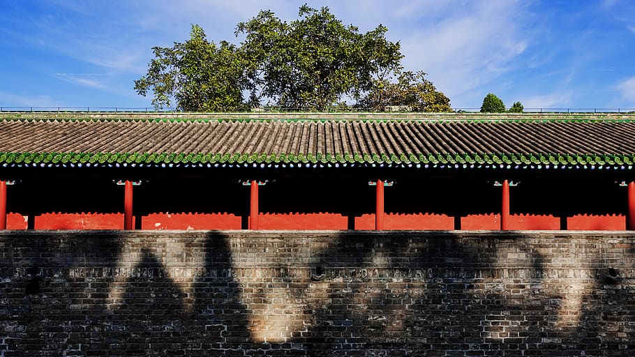 china, beijing, architecture, built structure, tree, building exterior HD wallpaper