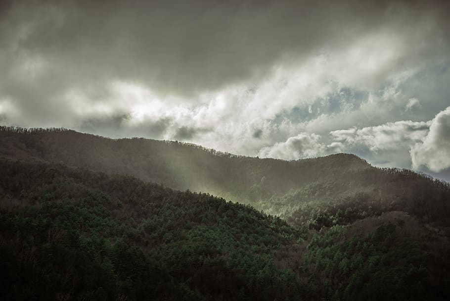 green leaf trees under white clouds, nature, outdoors, mountain HD wallpaper