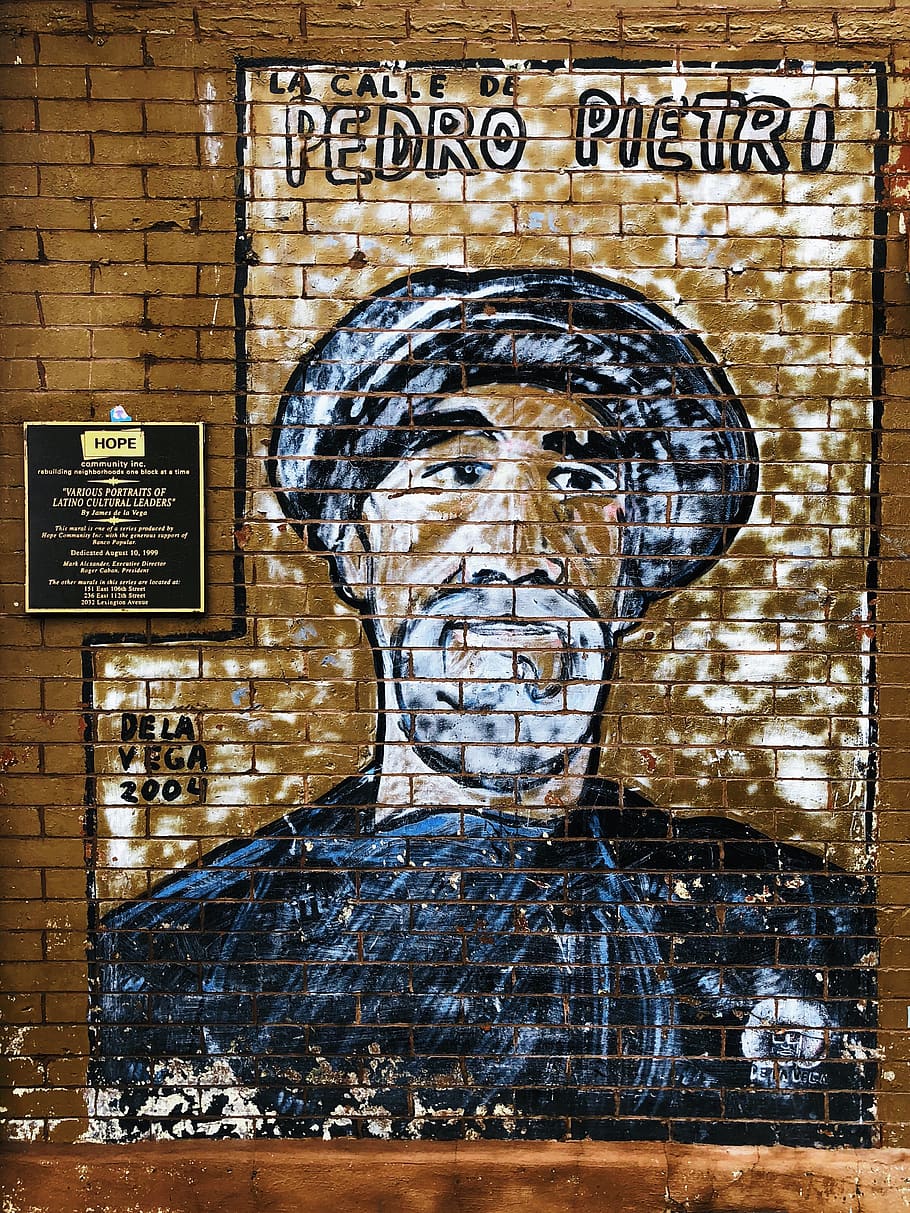 new york, mural, text, western script, creativity, architecture HD wallpaper