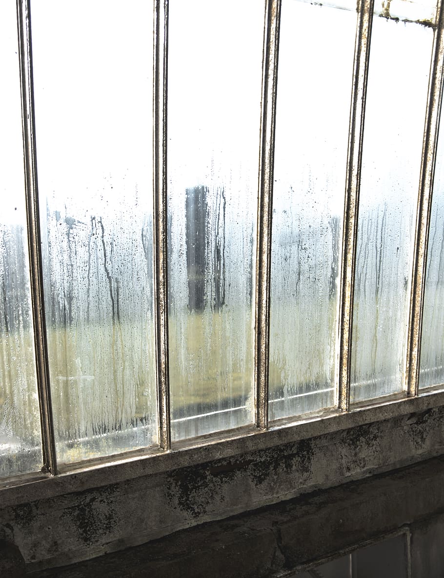 window, prison, nature, door, kew, cool, beautiful, greenhouse HD wallpaper