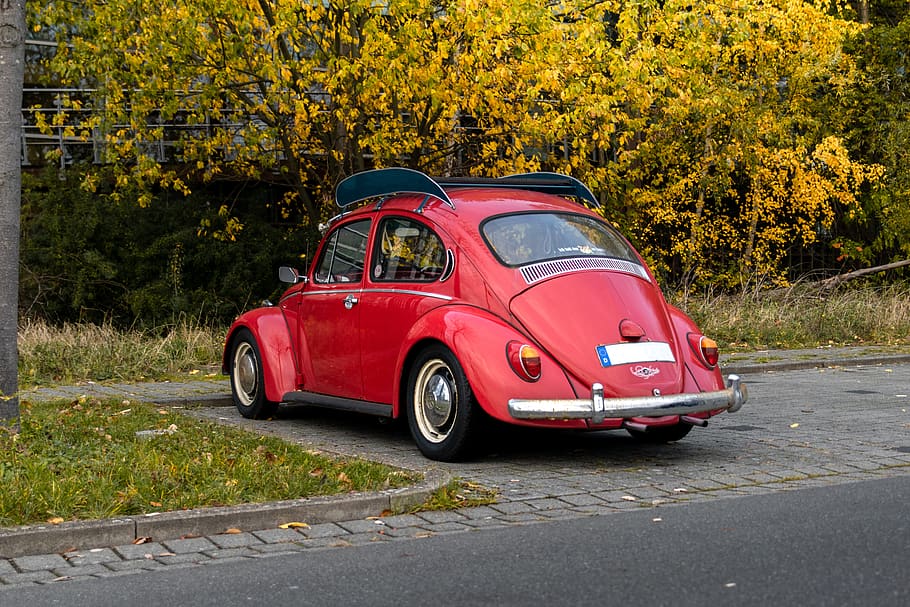 red beetle volkswagen, car, transportation, automobile, vehicle HD wallpaper